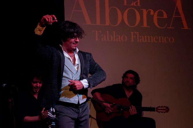Albaicín and Sacromonte Walking Tour and Flamenco Show - La Alboreá, where the evening changes gear