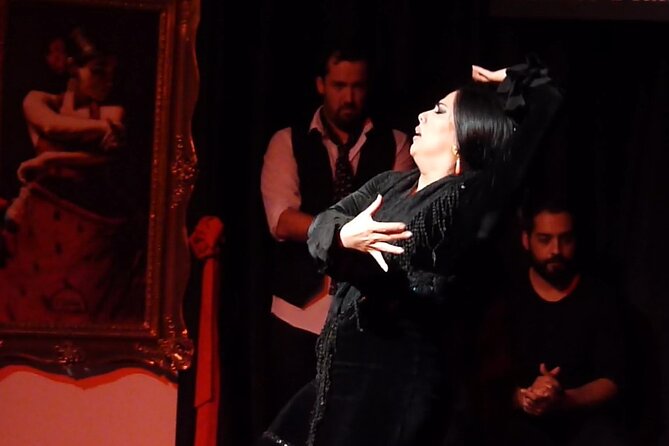 Albaicín and Sacromonte Walking Tour and Flamenco Show - What the $33.72 price buys you