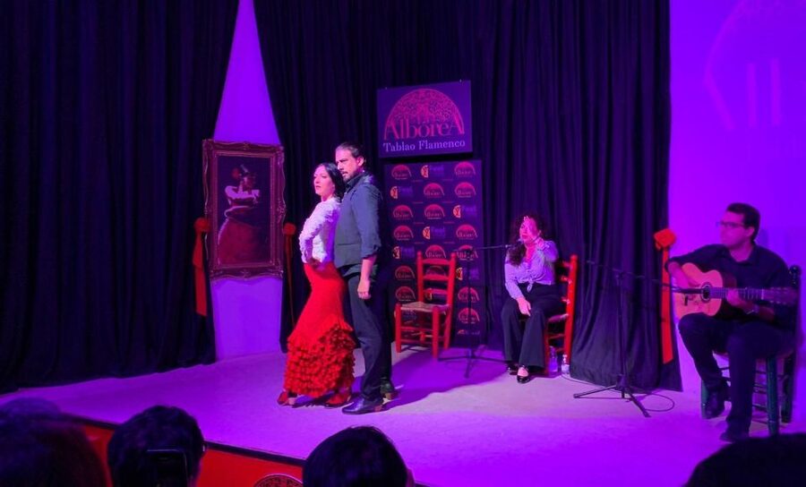 Albaicín & Sacromonte: Tour with Flamenco Show - What the $30 price really includes