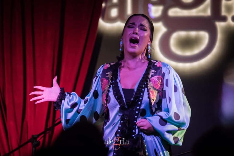 Alegria Flamenco in Malaga, with Transfer, Cocktail and Premium Location - Sixty Minutes of Flamenco Performance