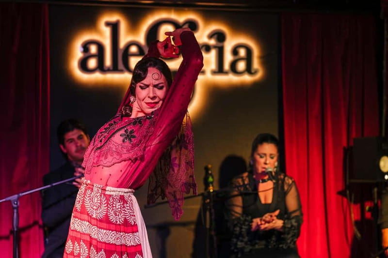 Alegria Flamenco in Malaga, with Transfer, Cocktail and Premium Location - Is Alegria Flamenco Worth $93?