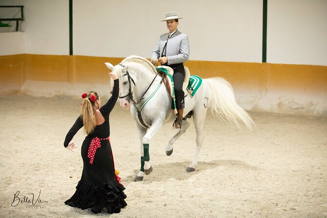 Andalusian Horses and Flamenco show with transportation - Why the horses are the real stars