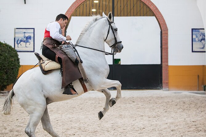 Andalusian Horses and Flamenco show with transportation - Booking and cancellation details