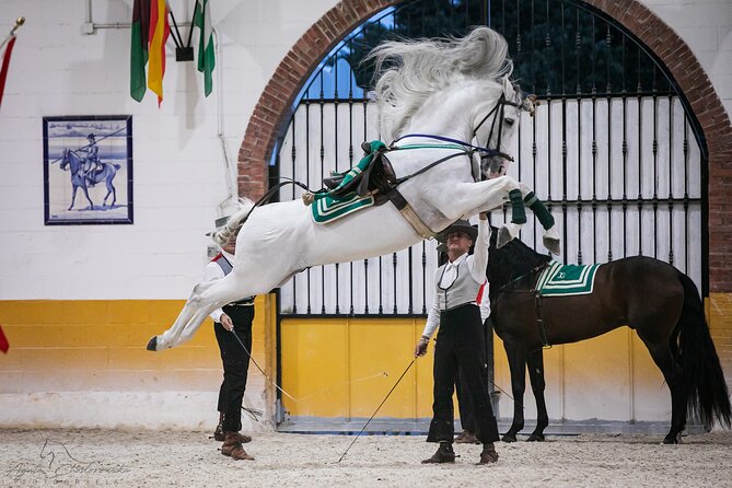 Andalusian Horses and Flamenco show with transportation - The flamenco side of the evening