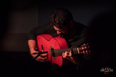 Authentic flamenco show. Alegria and gastronomy Malaga