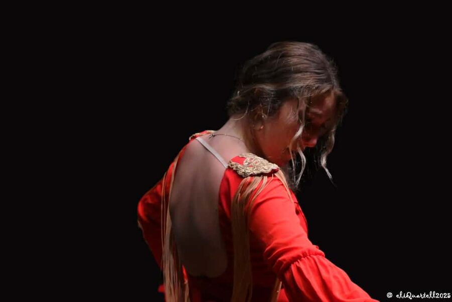 Authentic Flamenco Show Valencia - Seating: Ask About Your Table