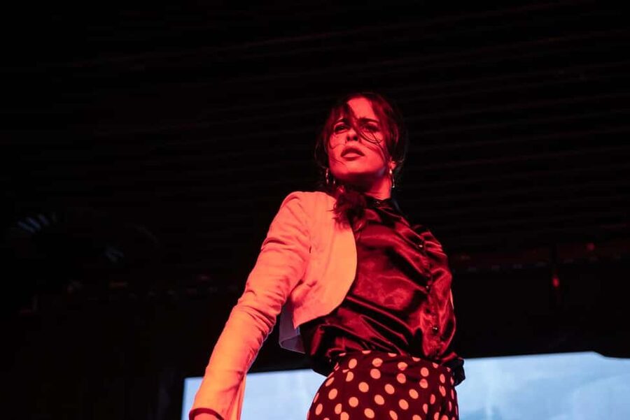 Authentic Flamenco Show Valencia - What the Price Really Buys You