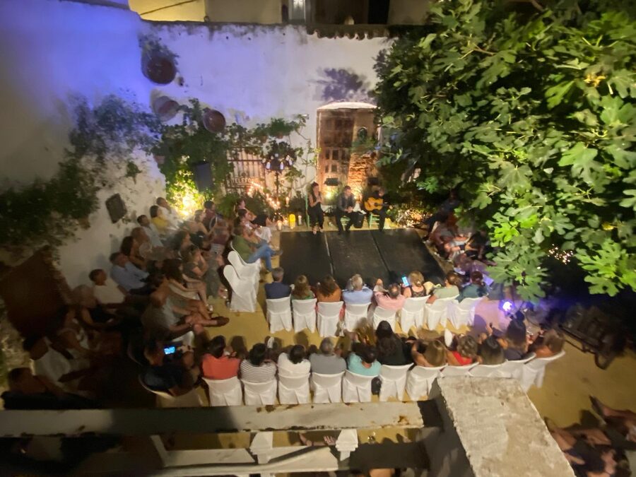 Ayamonte: Live Flamenco Show at Tablao La Puerta Ancha - What happens during the one-hour show