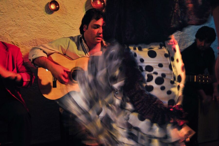 Barcelona: City Tour & Flamenco Show with Wine & Tapas - Who will enjoy this evening most