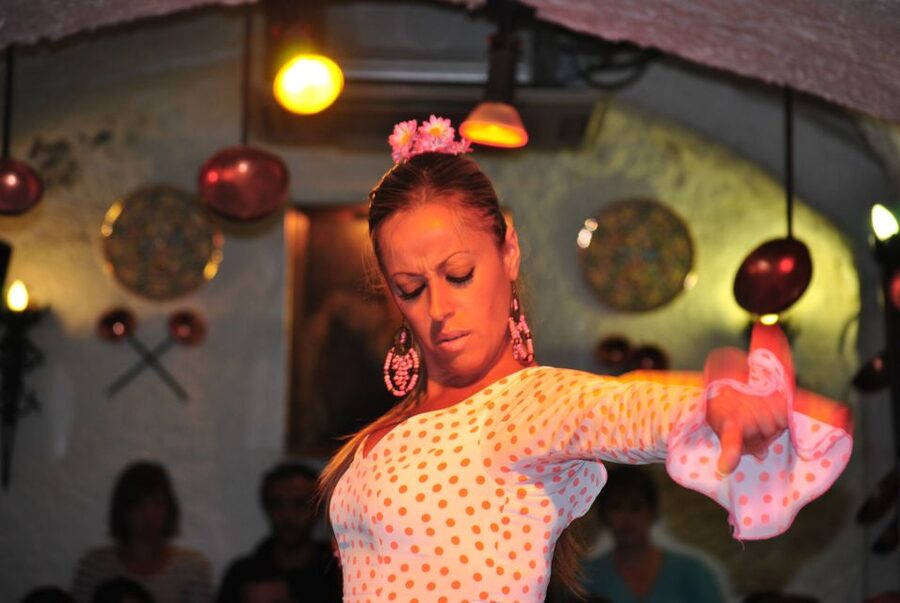 Barcelona: City Tour & Flamenco Show with Wine & Tapas - Crossing into Born