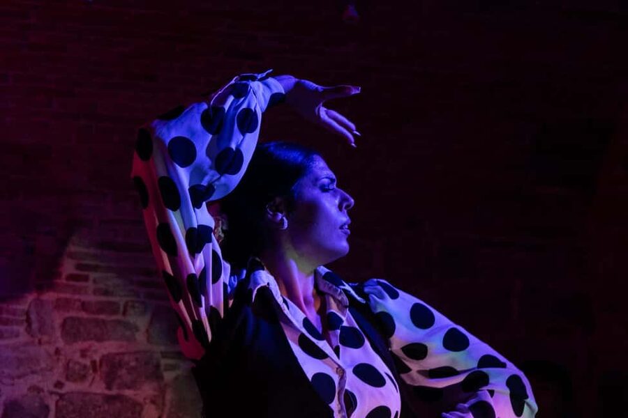 Barcelona: Espectáculo de Flamenco íntimo en Las Brujas - What the 50-minute show includes