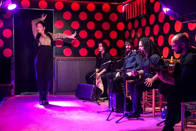 Barcelona Evening Tour, Flamenco Show & Tapas - Who will get the most from this tour?