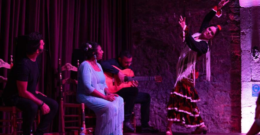 Barcelona: Flamenco Show at Palau Dalmases - Key points at a glance