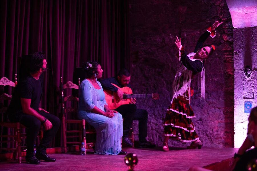 Barcelona: Flamenco Show at Palau Dalmases - Entering Palau Dalmases in El Born