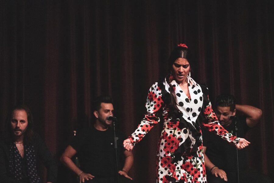 Barcelona: Flamenco Show at Palau Dalmases - What the 50-minute flamenco show includes