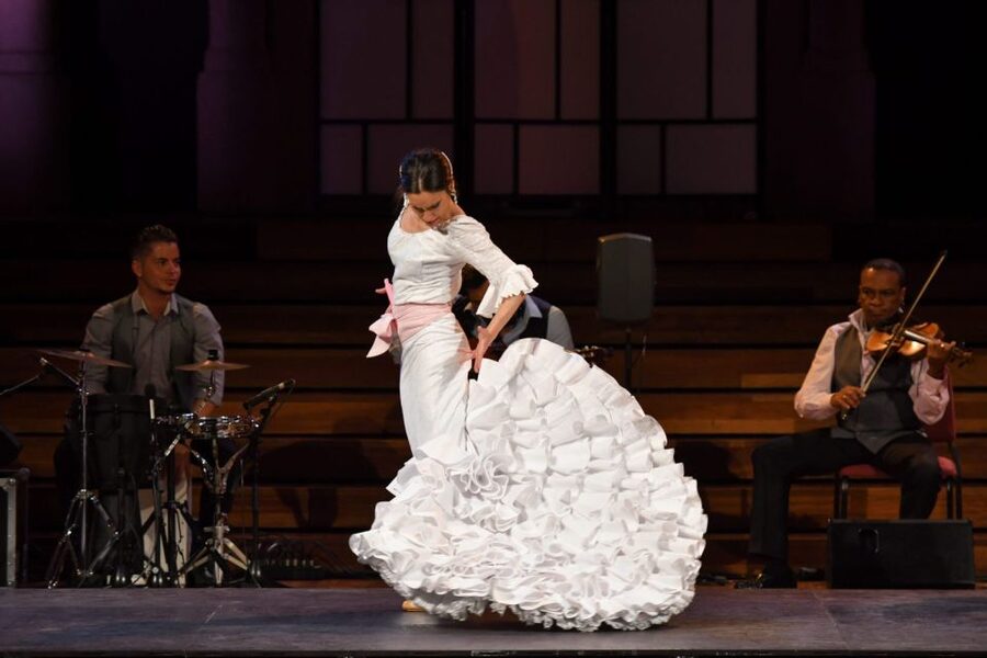 Barcelona: Gran Gala Flamenco Show Entry Ticket - What the 75-minute Gran Gala Flamenco show gives you