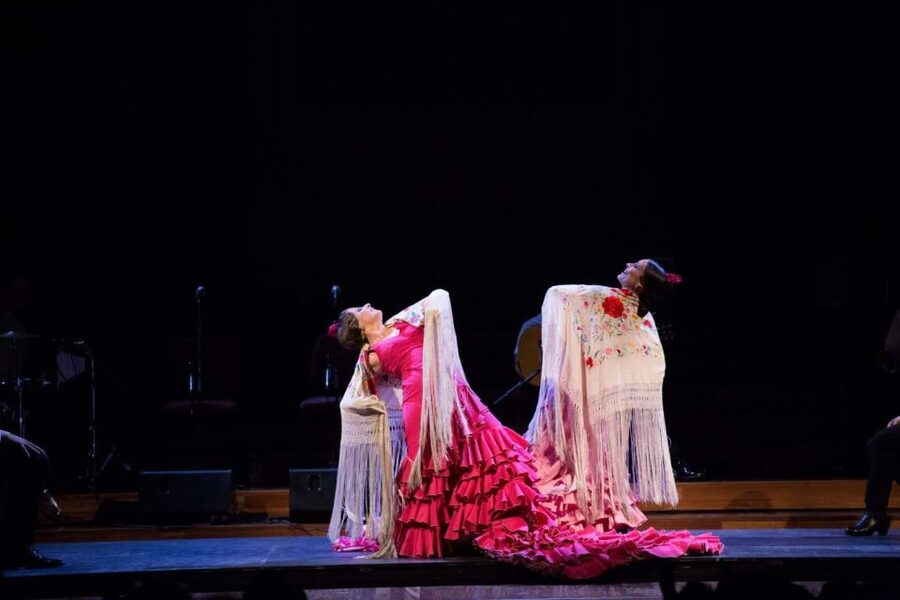 Barcelona: Gran Gala Flamenco Show Entry Ticket - The drawbacks you should weigh