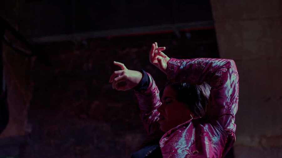 Barcelona: Old Town Artistic Tour & Flamenco Show - Starting at Plaça de la Universitat