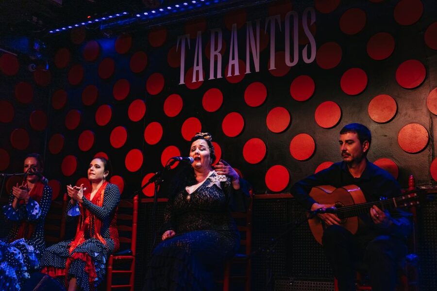 Barcelona: Tapas and Flamenco Experience - A flamenco night with a practical Barcelona setup