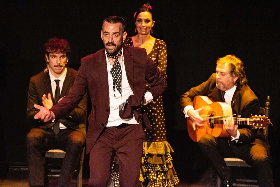 Combo: Hop on hop off + Flamenco Show & Walking tours - Plaza de España, Maria Luisa Park, and the riverfront