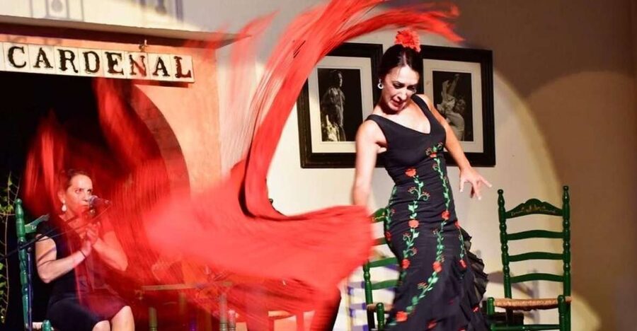 Córdoba: Flamenco Show Ticket with Drinks - What the 80-minute flamenco show is really like