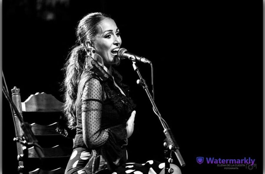 Córdoba: Flamenco Show Ticket with Drinks - Why the singer and guitarist matter as much as the dancers