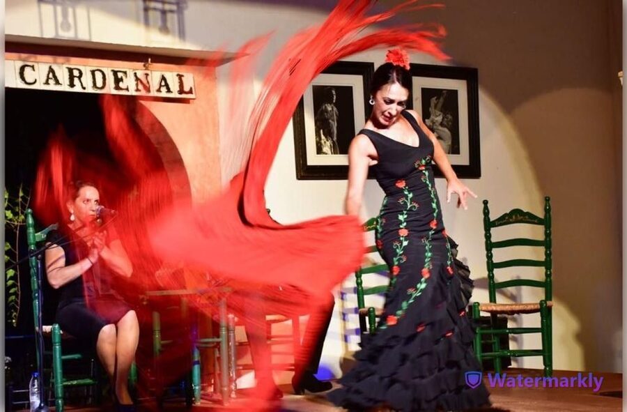 Córdoba: Flamenco Show Ticket with Drinks - How the show unfolds from first drink to final applause