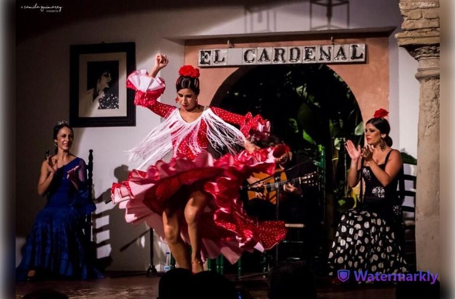 Córdoba: Flamenco Show Ticket with Drinks - Food and drink choices at the tablao