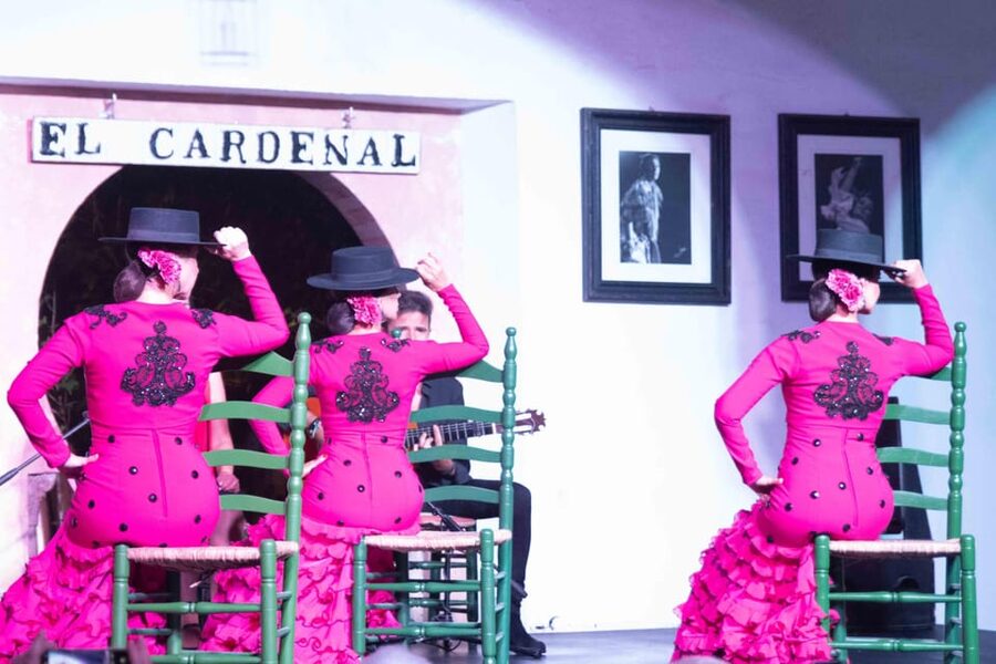 Córdoba: Flamenco Show Ticket with Drinks - What makes this show work for first-time flamenco viewers