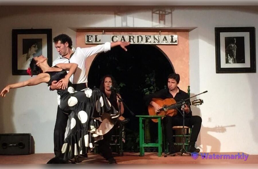 Córdoba: Flamenco Show Ticket with Drinks - The practical drawbacks you should know before booking