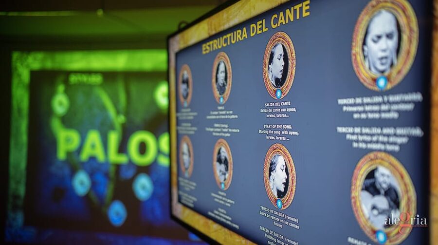 Dive In and Discover: Flamenco in an Interactive Journey - Choosing the right time in Málaga