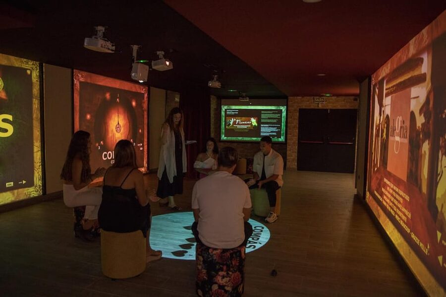 Dive In and Discover: Flamenco in an Interactive Journey - Price, language, and overall value