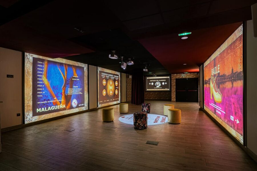 Dive In and Discover: Flamenco in an Interactive Journey - Who will enjoy it most