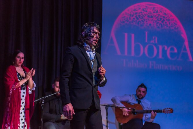 Flamenco in the Center of Granada - The one-hour show: what to watch and listen for