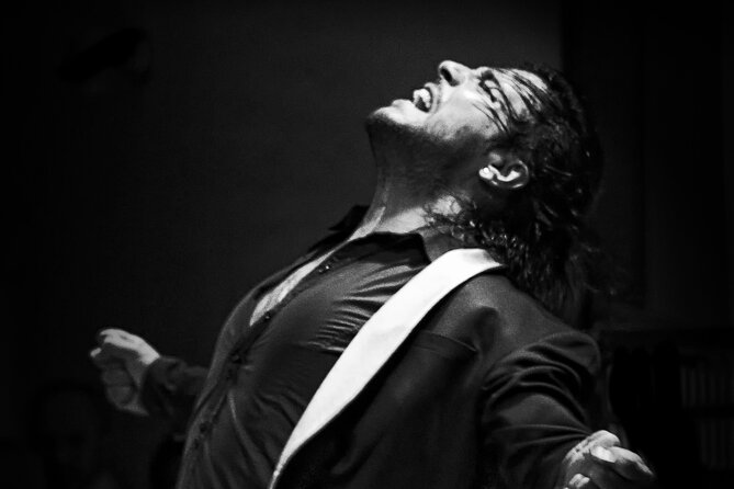 Flamenco Live Show and Dinner in Mexico City - Why the Flamenco Performance Is the Main Event