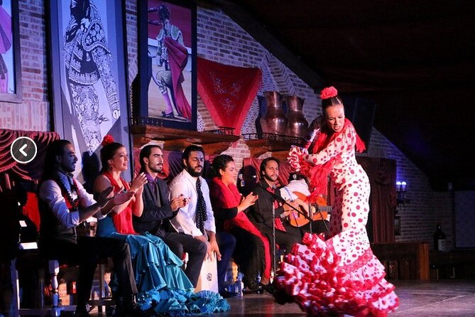 Flamenco night Show and Dinner in Madrid - Who will enjoy this flamenco night most?