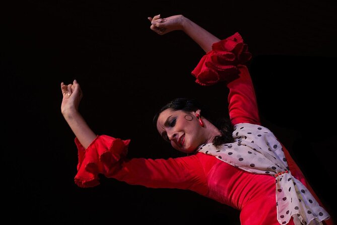 Flamenco Show in Cueva Zincalé - What the close seating means for you