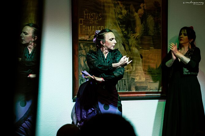 Flamenco Show in Seville at Bar and Tapas - A close-up flamenco evening near Santa Cruz