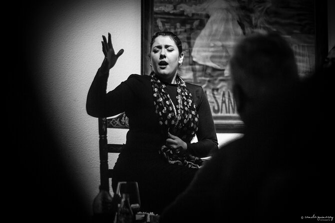 Flamenco Show in Seville at Bar and Tapas - A useful stop in a central Seville evening