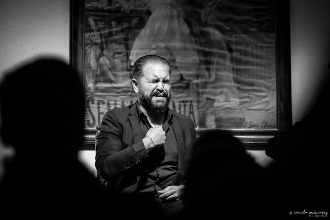 Flamenco Show in Seville at Bar and Tapas - Booking, cancellation, and useful details