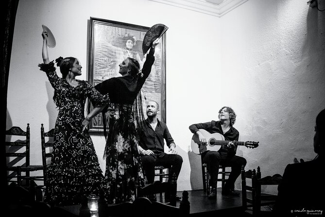Flamenco Show in Seville - La milonga tablao - Picking the right showtime