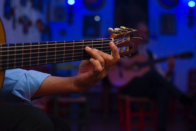 Flamenco Show in the Caves of Sacromonte - Who Will Enjoy This Show Most?