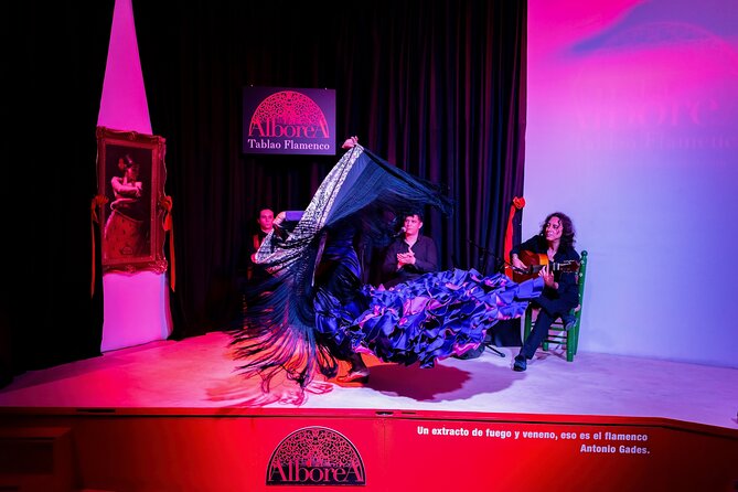 Flamenco Show in the Center of Granada - What is included for $26.12