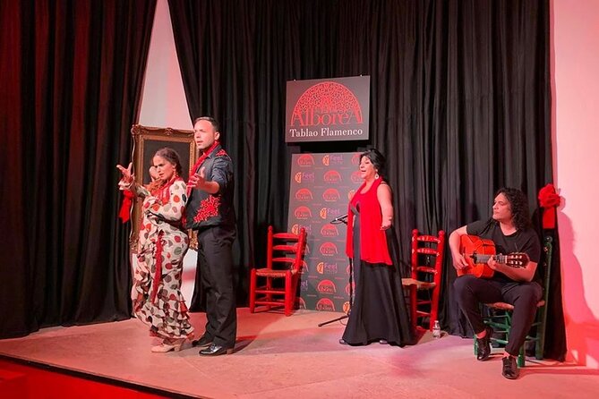 Flamenco Show in the Center of Granada - Why the Plaza Nueva location matters
