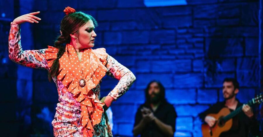 Flamenco Show & Sangria Tasting - Key points to know before booking