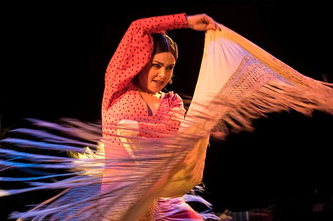Flamenco Show Ticket at Theatre Barcelona City Hall - Main-floor seating or VIP?