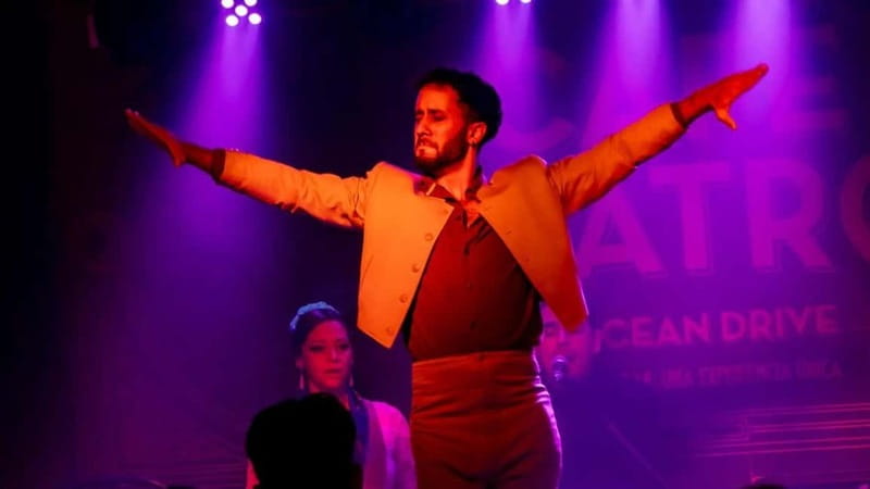 Fuengirola: Flamenco Show - The one-hour performance: dance, voice, and guitar