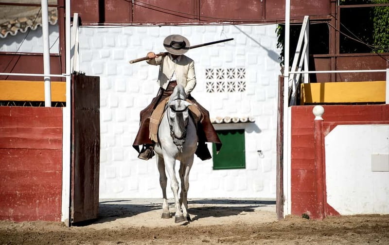 Fuengirola: Spanish Horse Show with Optional Dinner/Flamenco - Key points to know before booking