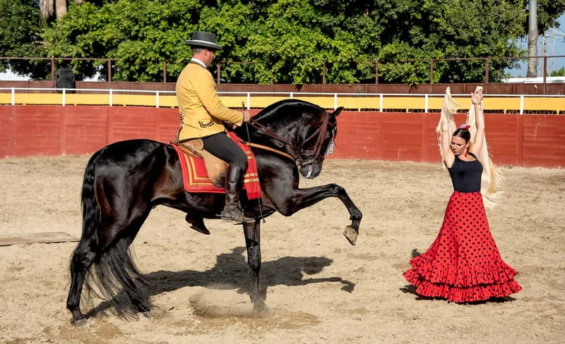 Fuengirola: Spanish Horse Show with Optional Dinner/Flamenco - What the evening at Finca El Cartujano is really like