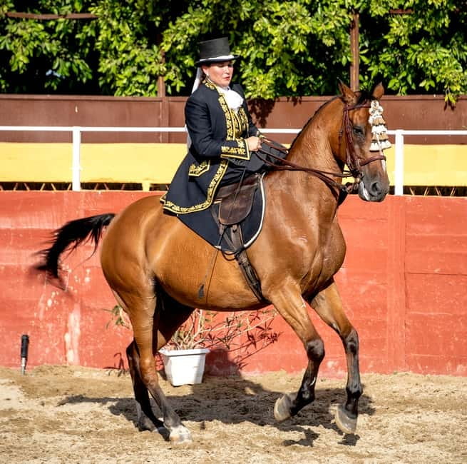 Fuengirola: Spanish Horse Show with Optional Dinner/Flamenco - Choosing the right ticket
